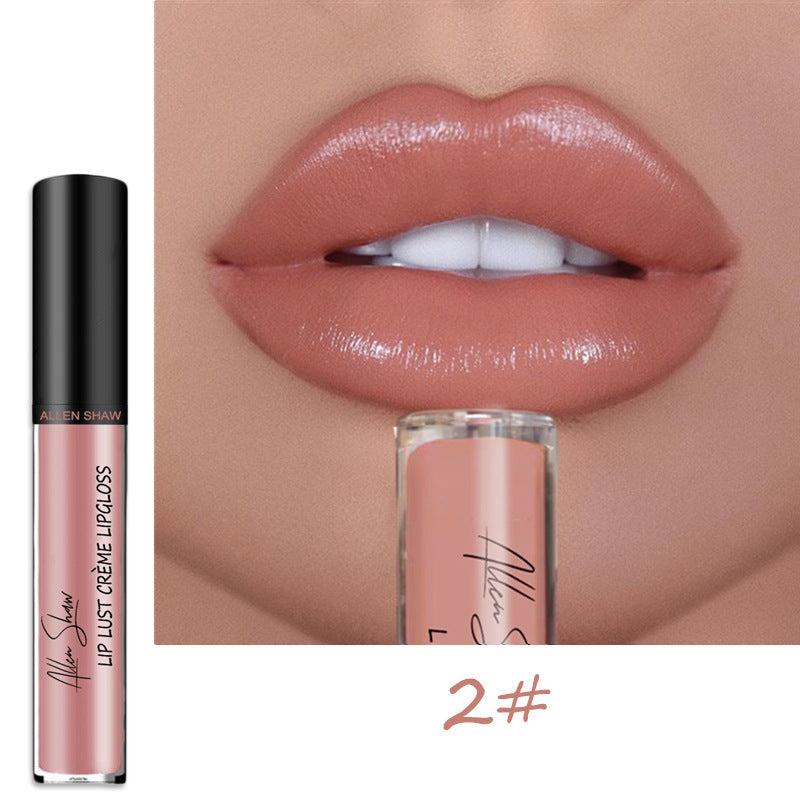 Matte Velvet Liquid Lipstick MERLIÁ